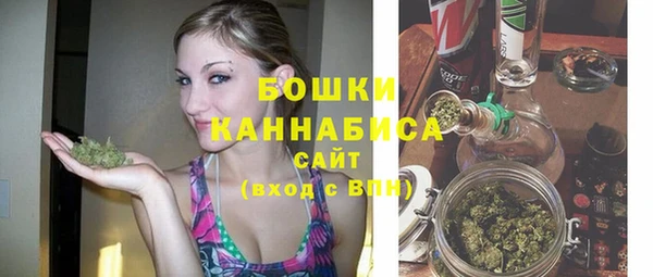 СК Бородино