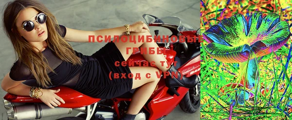 СК Бородино