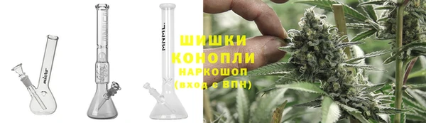 СК Бородино