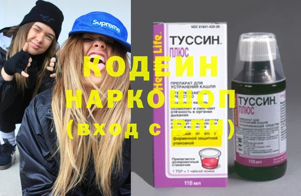 СК Бородино