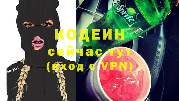 СК Бородино