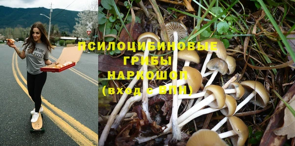 ешки Бугульма