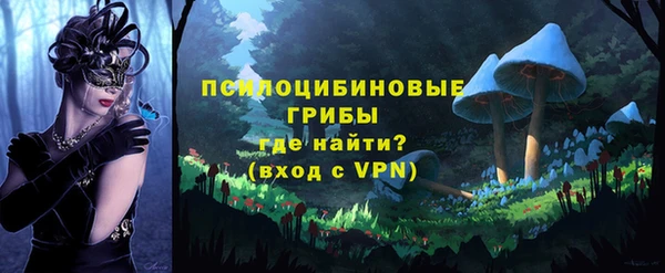 соль ск Бронницы