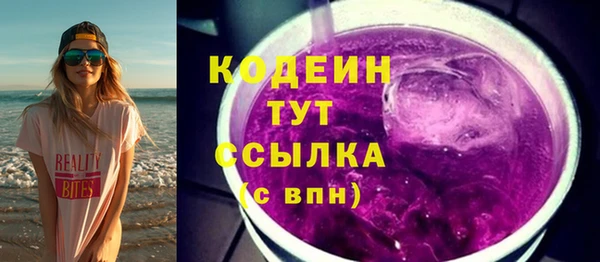 СК Бородино